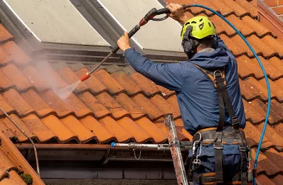 Démoussage et hydrofuge de toiture à Lageon